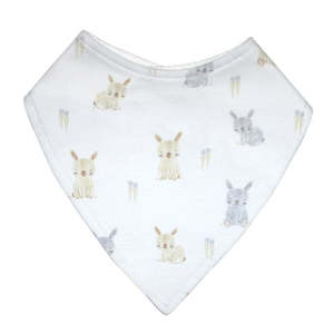 Easter: Mister Fly Dribble Bib - Bunny And Carrots