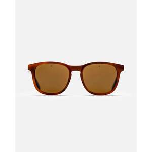 Sunglasses: Vuarnet Belvedere Regular Sunglasses Shiny Clear Tort - Pure Brown Lens