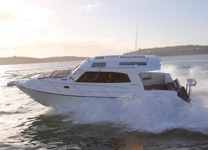 Products: Rayglass 3500