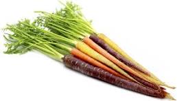 Carrots - Bunched Rainbow