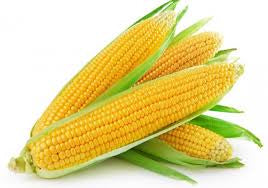 Sweetcorn 2 For $2.50