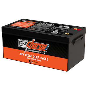 Black Friday Sale: 36V 120Ah Lithium LifePO4 Deep Cycle Battery