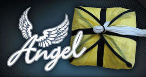 Reserves: ANGEL V2 RESERVE