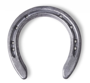 Products: Pony shoes