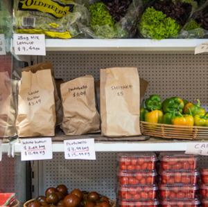 Products: Square Containers & Lids