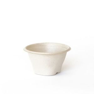 Pulp Soup Bowls / Cups 12oz 100/pkt