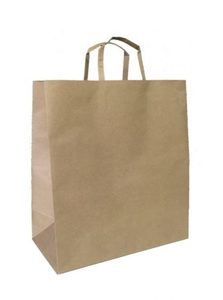 Products: Kraft Carry Bag