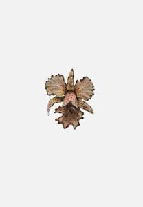 Enamoured Orchid Brooch