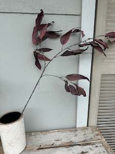 Faux Plants: Eucalyptus Burgundy spray stem
