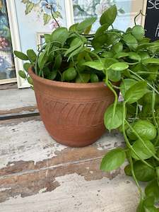 Faux Plants: Terracotta planter w aged patina