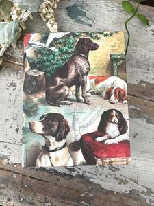 Jotter Pads: Jotter Pad Doggies