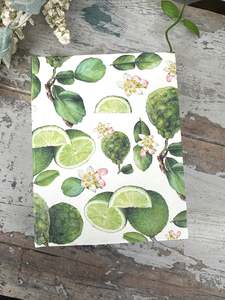 Jotter Pad Cut Limes