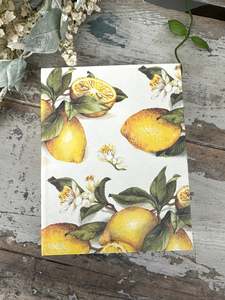Jotter Pads: Jotter Pad Lemons