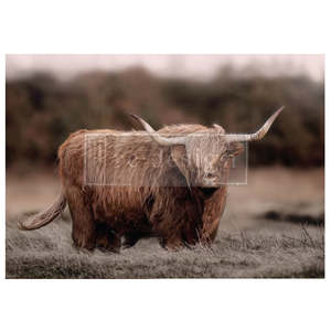 Redesign Decoupage Papers: Highland Grace A1 Fiber Paper 1 sheet