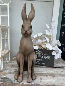 Harold the Hare Brown