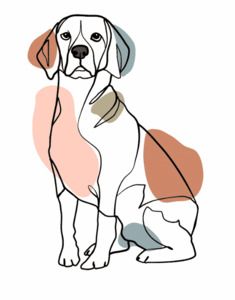 Products: Custom Pet – Line Art Paint My Numbers