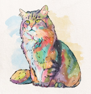 Custom Pet – Rainbow Watercolour Paint My Numbers