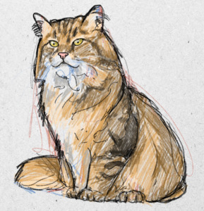 Custom Pet – Sketch Art Paint My Numbers