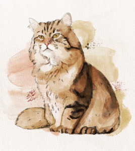 Products: Custom Pet – Watercolour Paint My Numbers