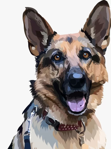 Products: Dog - Diamond Art 30x40cm 35pcs - Paint My Numbers