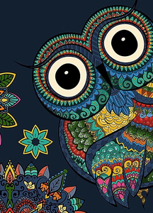 Products: Surprise Owl - Diamond Art 30x40cm 35pcs - Paint My Numbers