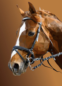 Serious Horse - Diamond Art 30x40cm 55pcs - Paint My Numbers