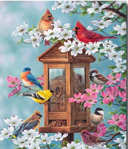Products: Bird House - Diamond Art 30x40cm 40pcs - Paint My Numbers