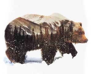 Products: Winter Landcape Bear - Paint by Numbers - Paint My Numbers