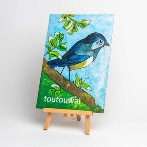 The Manu Series: Toutouwai Robin