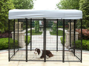 Pet And Animal: Pet Dog Kennel Metal Enclosure 2.4M x 1.2M
