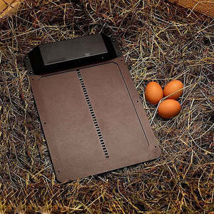 Wooden Chicken Coop: Automatic Chicken Coop Door