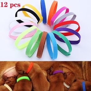 Whelping Identification Collars for Newborn Puppy L