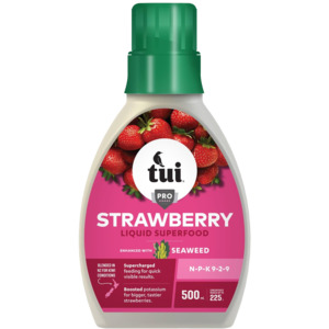 Tui Strawberry Liquid Superfood - 500ML