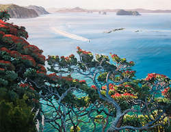 View North from Te Pare Reserve, Hahei