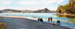 Welcome Shade, Mercury Bay