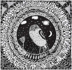 Midnight Morepork