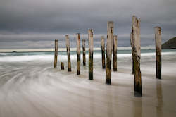 Stuart Mackenzie Buildings: Old Wooden Piles, St Clair Beach, Dunedin