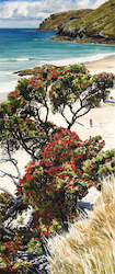 Pohutukawa at Otama