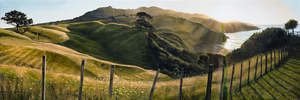 Painting Reproduction: Last Rays on Ocean Beach II (Raglan)