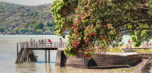 Painting Reproduction: Holiday Lineup, Bow Street Jetty, Raglan