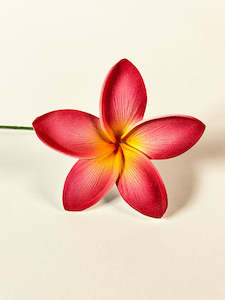 Island Sei Hair Clips: FETU SEI