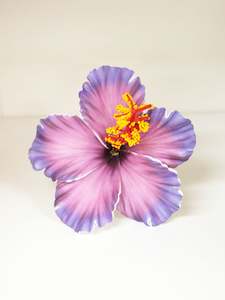 Island Sei Hair Clips: LAVEA HIBISCUS SEI