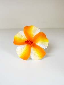 Island Sei Hair Clips: VAVEGA DARLING SEI