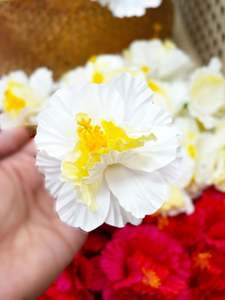 Island Sei Hair Clips: DOUBLE MOON HIBISCUS