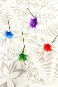 Island Sei Hair Clips: PANIKEKE LILLY SEI