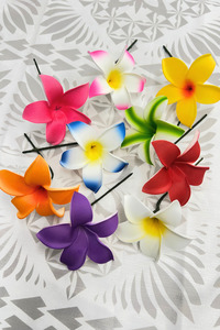 Island Sei Hair Clips: PANIKEKE PUAH SEI