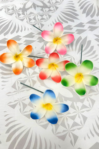 Island Sei Hair Clips: PANIKEKE PLUMERIA SEI