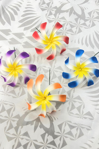 Island Sei Hair Clips: PANIKEKE TIARE SEI