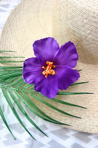 Island Sei Hair Clips: PANIKEKE TE AUTE SEI