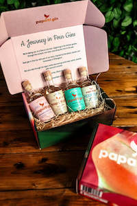 Our Gins: 4x100ml Gift Box